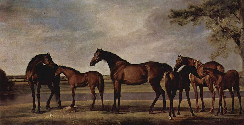 George Stubbs Stuten und Fohlen angstigen sich vor einem heraufziehenden Unwetter France oil painting art